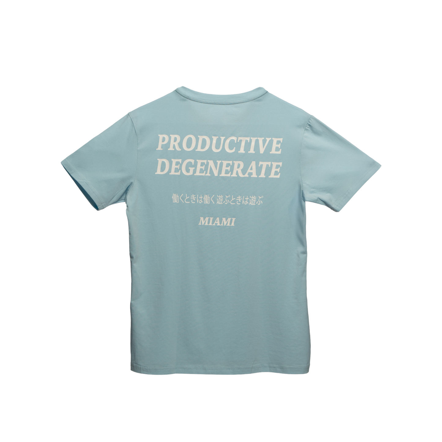 "Work Hard, Play Hard" Japanese Tee - Baby Blue