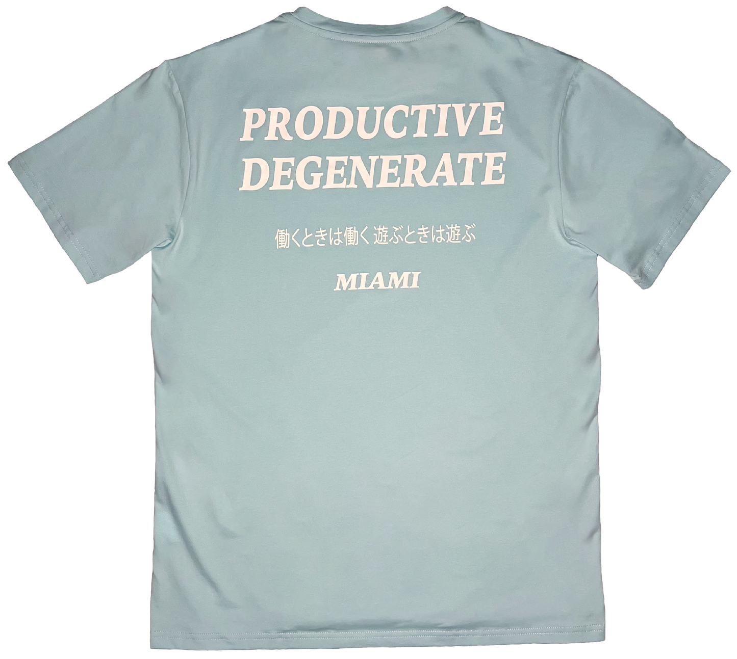 "Work Hard, Play Hard" Japanese Tee - Baby Blue