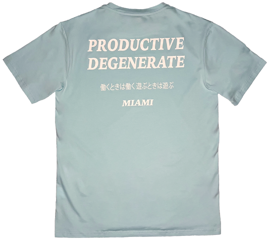 "Work Hard, Play Hard" Japanese Tee - Baby Blue